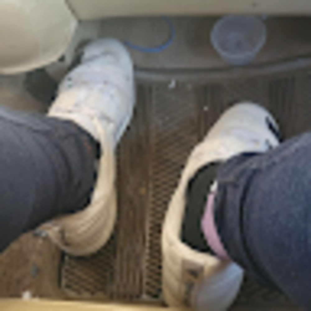 Meet your Posher, Lily